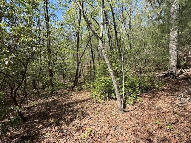 single family residence for sale at Lot 9 Marjorie Ave, Ellijay, GA 30536 — photo 3