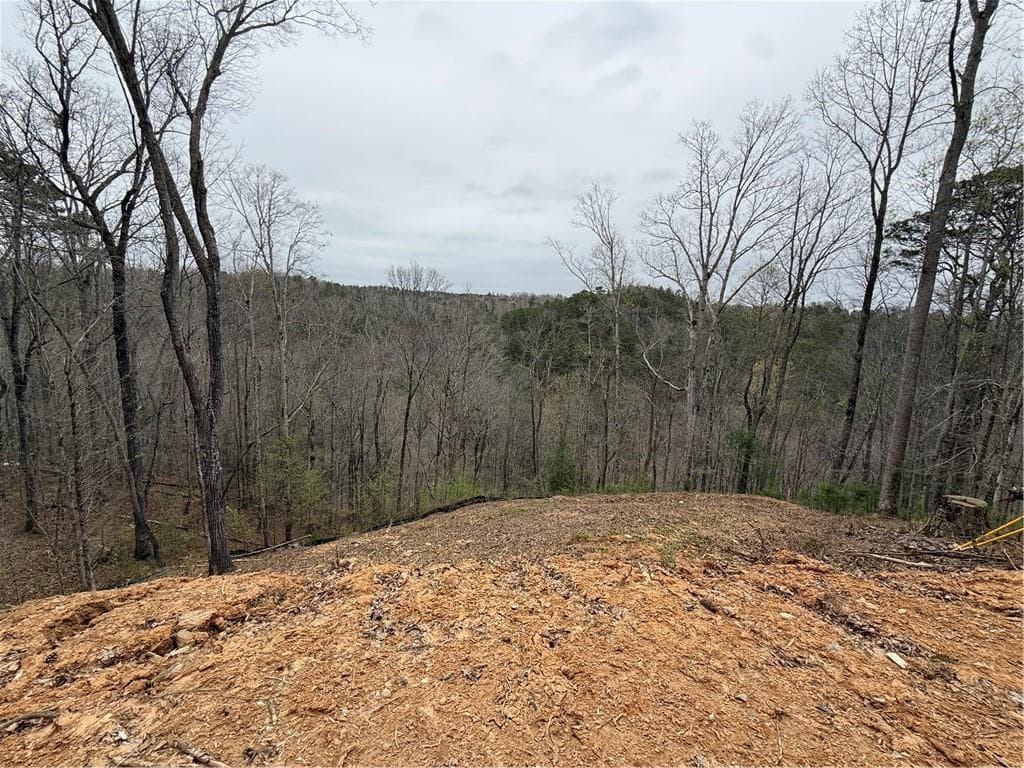 unimproved land for sale at 135 Flat Ridge Road, Ellijay, GA 30540 — photo 3