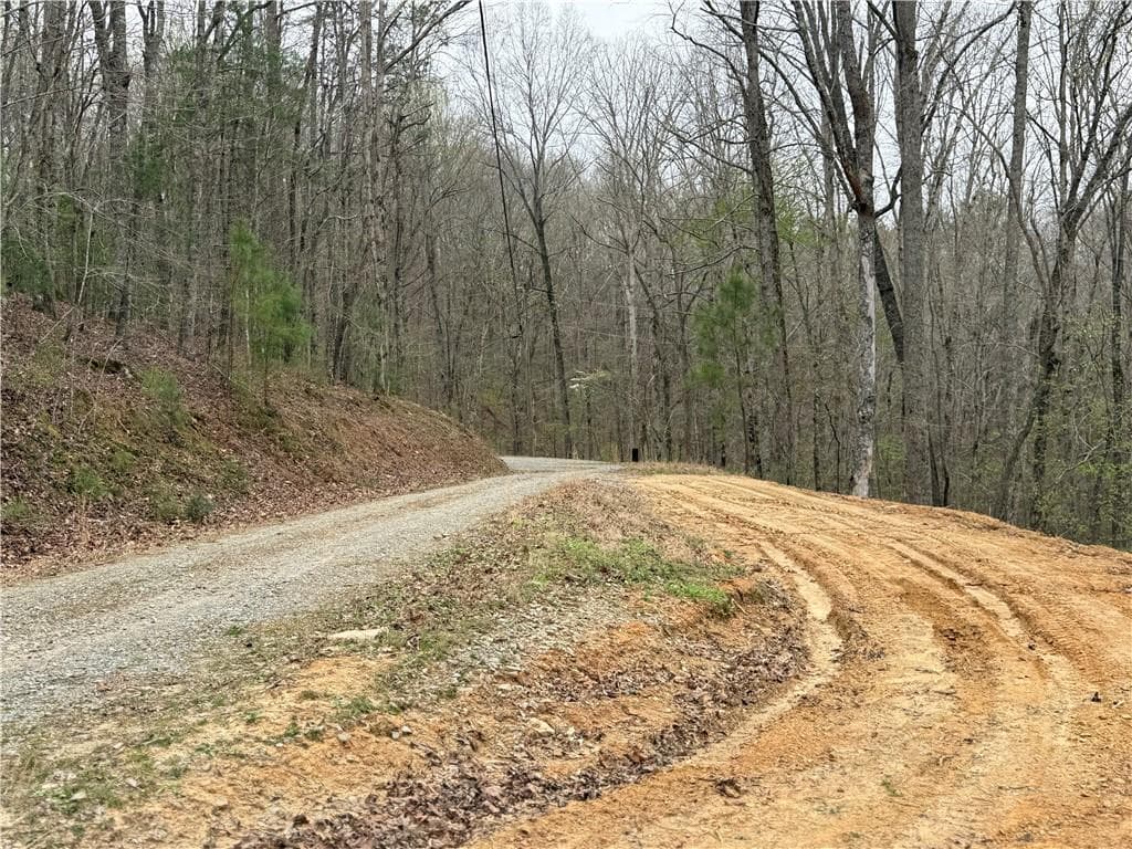 unimproved land for sale at 135 Flat Ridge Road, Ellijay, GA 30540 — photo 4
