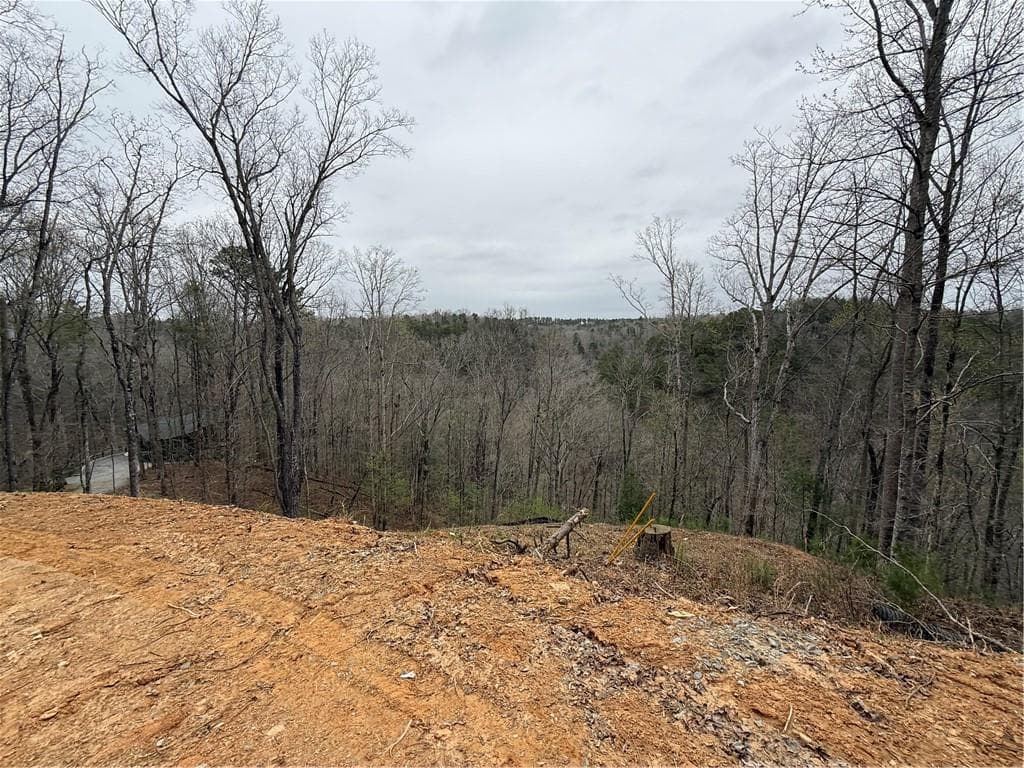 unimproved land for sale at 135 Flat Ridge Road, Ellijay, GA 30540 — photo 5