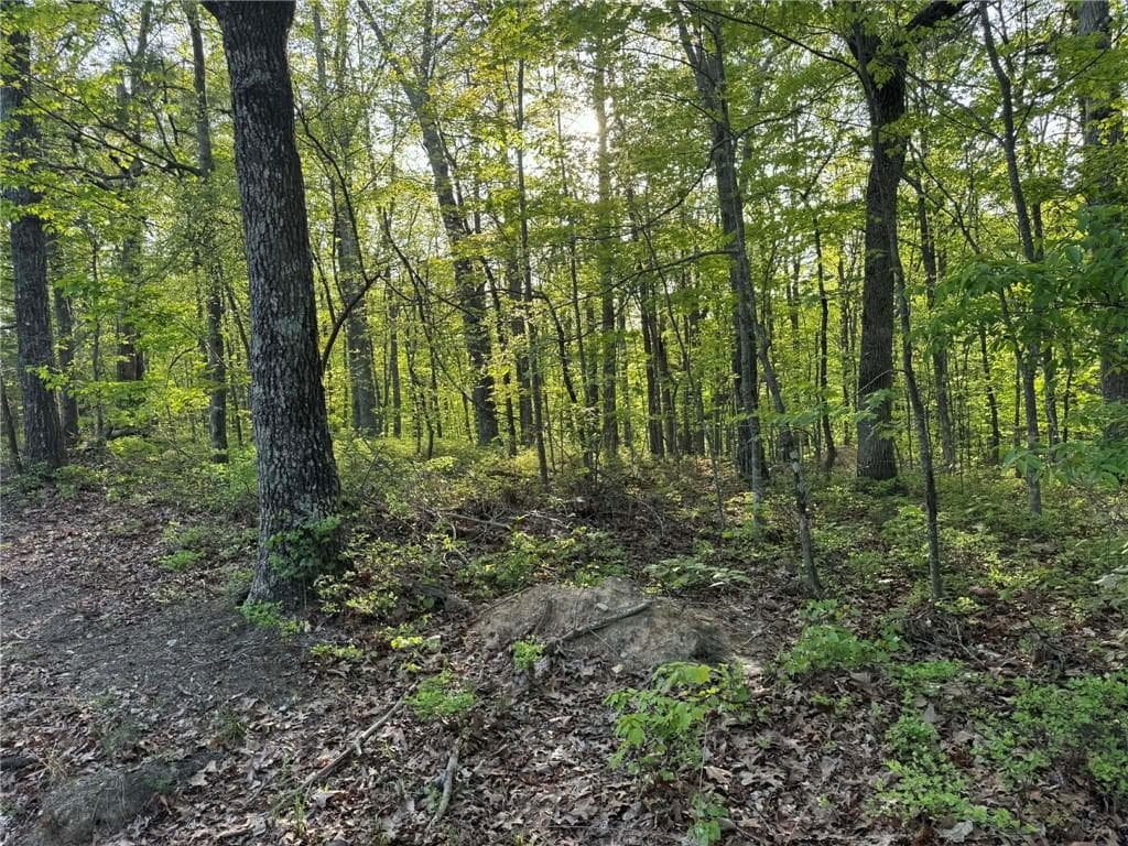 unimproved land for sale at 1440 Hanna Drive, Ranger, GA 30734 — photo 1 of 10