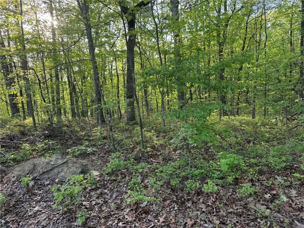 unimproved land for sale at 1440 Hanna Drive, Ranger, GA 30734 — photo 2