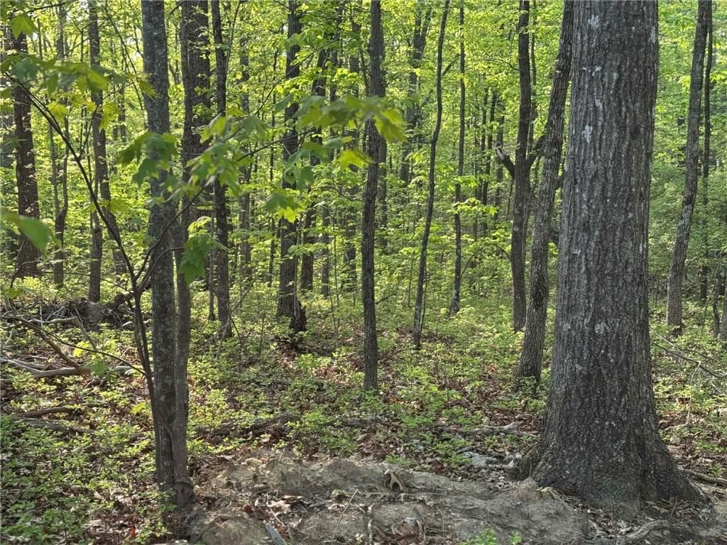 unimproved land for sale at 1440 Hanna Drive, Ranger, GA 30734 — photo 3