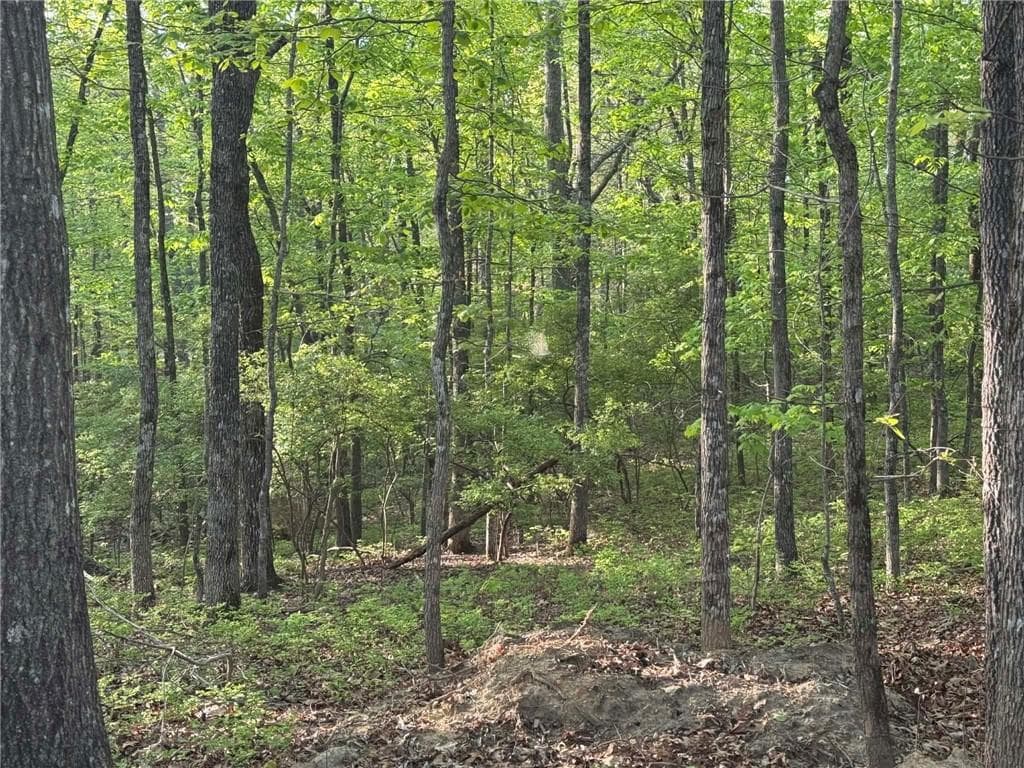 unimproved land for sale at 1440 Hanna Drive, Ranger, GA 30734 — photo 4