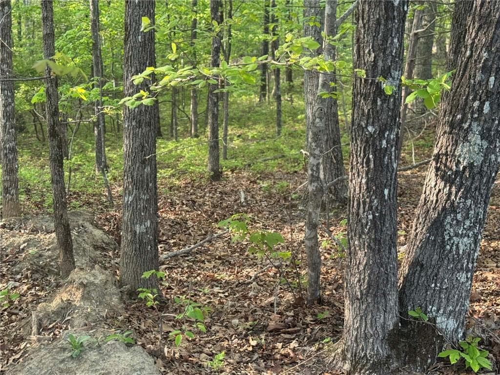 unimproved land for sale at 1440 Hanna Drive, Ranger, GA 30734 — photo 5