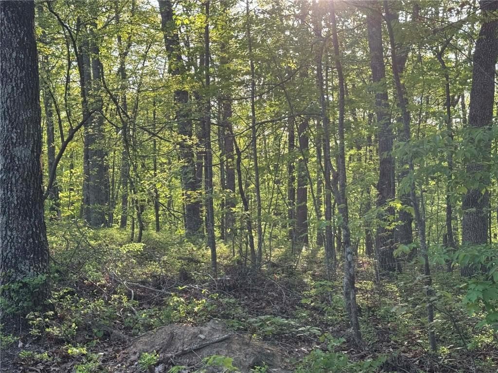 unimproved land for sale at 1440 Hanna Drive, Ranger, GA 30734 — photo 6