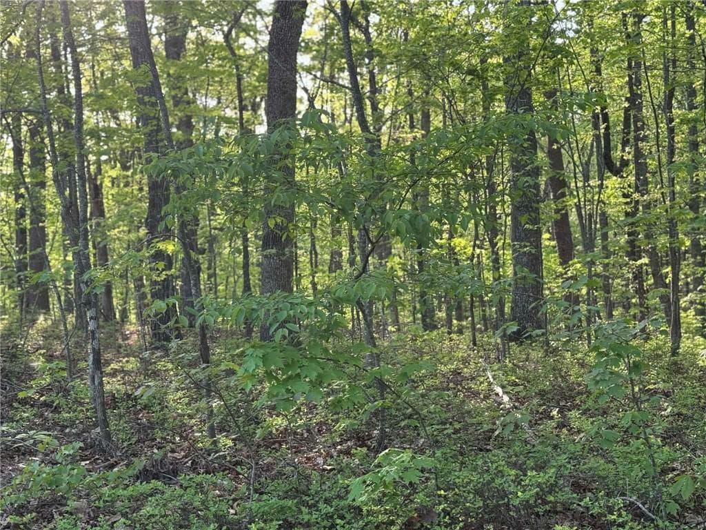 unimproved land for sale at 1440 Hanna Drive, Ranger, GA 30734 — photo 7