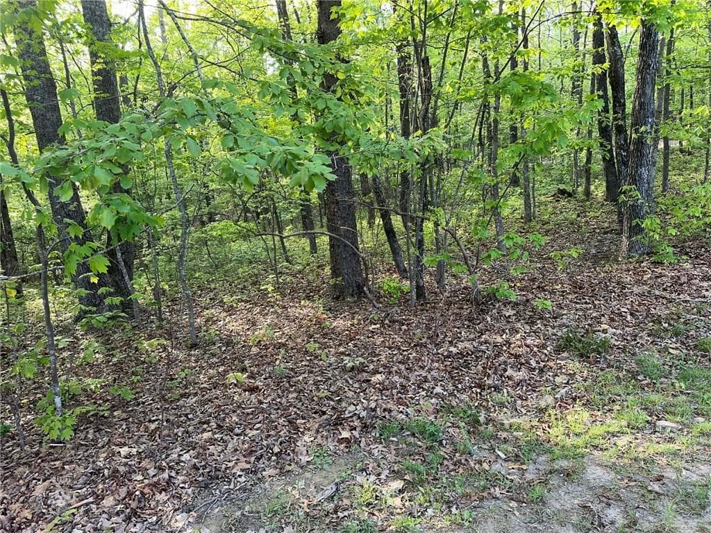 unimproved land for sale at 1440 Hanna Drive, Ranger, GA 30734 — photo 8