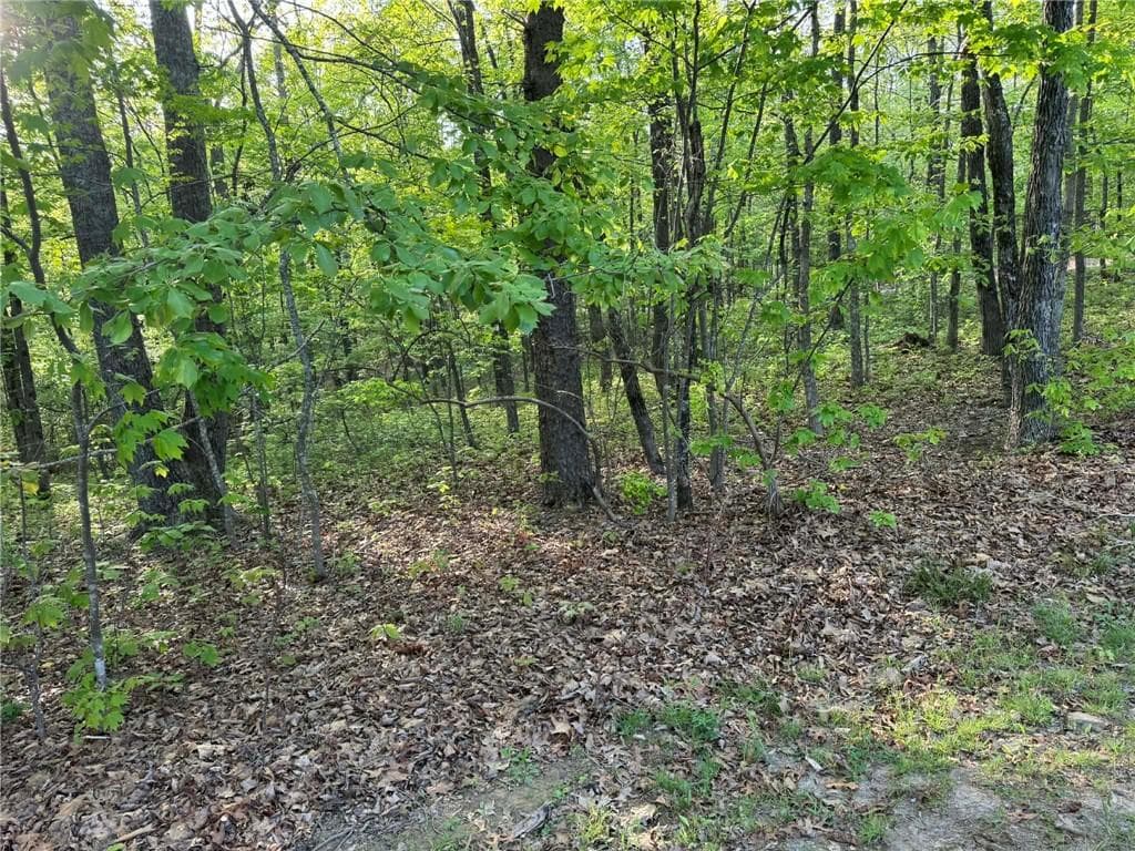 unimproved land for sale at 1440 Hanna Drive, Ranger, GA 30734 — photo 9