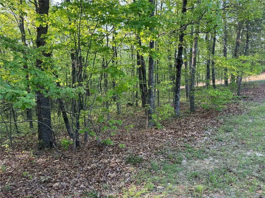 unimproved land for sale at 1440 Hanna Drive, Ranger, GA 30734 — photo 10