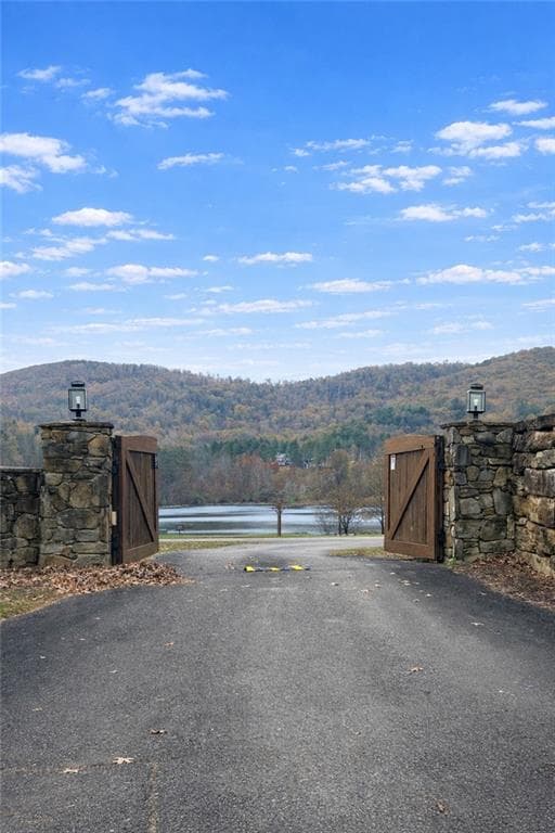 unimproved land for sale at 342 High Rock Trail, Ellijay, GA 30175 — photo 5