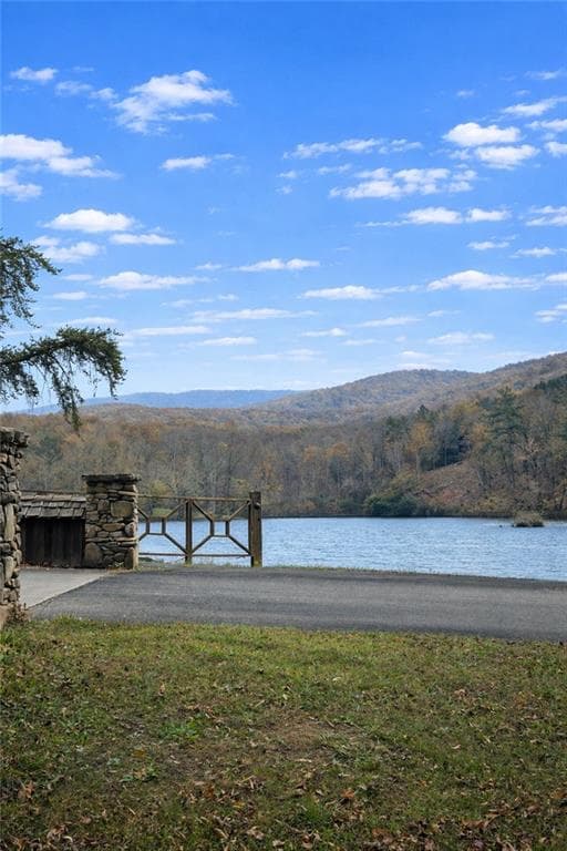 unimproved land for sale at 342 High Rock Trail, Ellijay, GA 30175 — photo 6