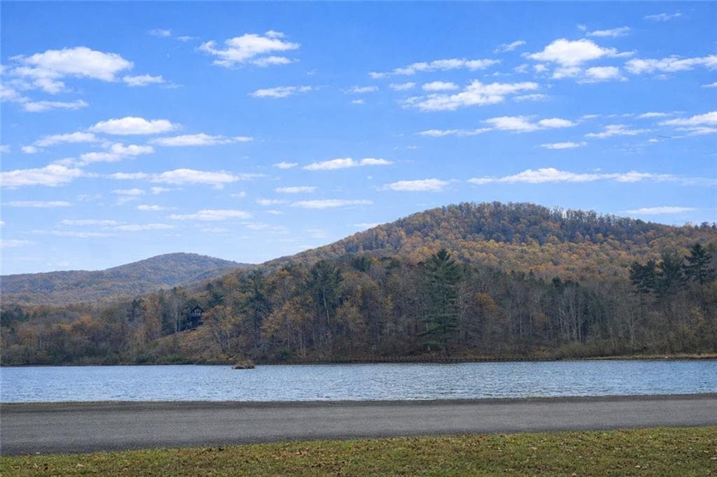 unimproved land for sale at 342 High Rock Trail, Ellijay, GA 30175 — photo 7