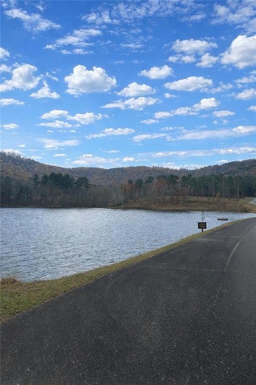 unimproved land for sale at 342 High Rock Trail, Ellijay, GA 30175 — photo 10