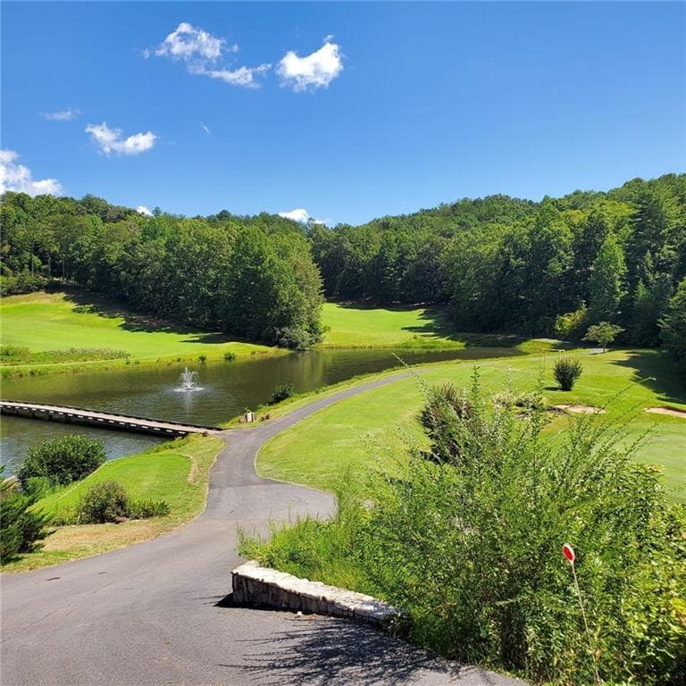 unimproved land for sale at 0 Rosen Strasse, Helen, GA 30545 — photo 5