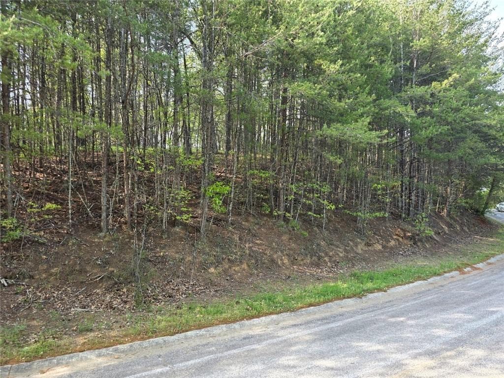unimproved land for sale at 0 Rosen Strasse, Helen, GA 30545 — photo 9