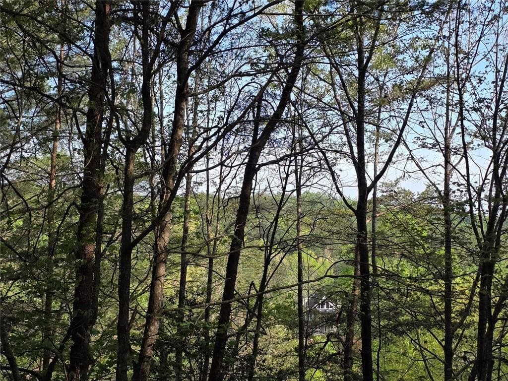 unimproved land for sale at 0 Rosen Strasse, Helen, GA 30545 — photo 10