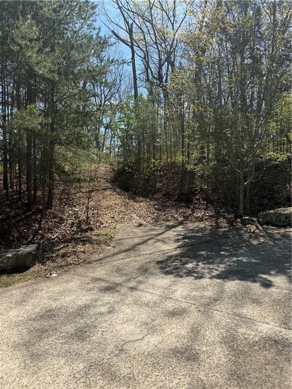 unimproved land for sale at 161 Sharp Mountain Parkway, Jasper, GA 30143 — photo 5