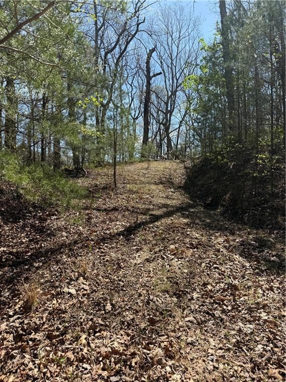 unimproved land for sale at 161 Sharp Mountain Parkway, Jasper, GA 30143 — photo 6