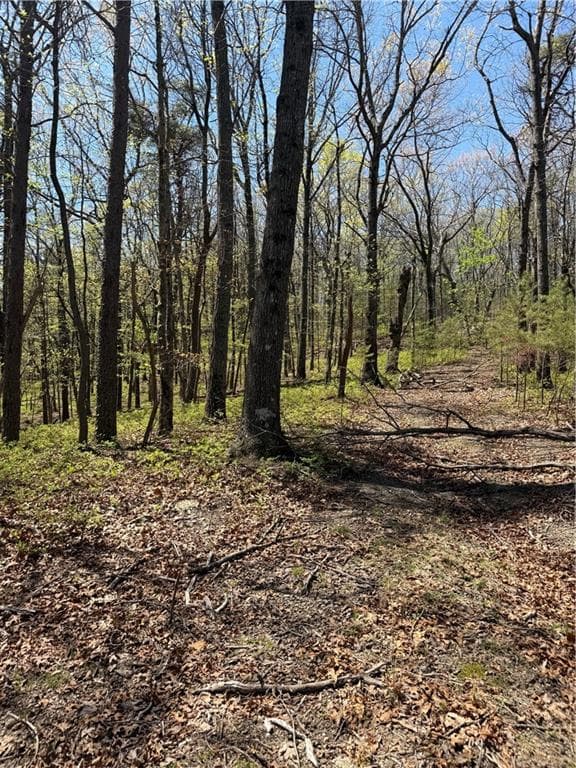 unimproved land for sale at 161 Sharp Mountain Parkway, Jasper, GA 30143 — photo 7