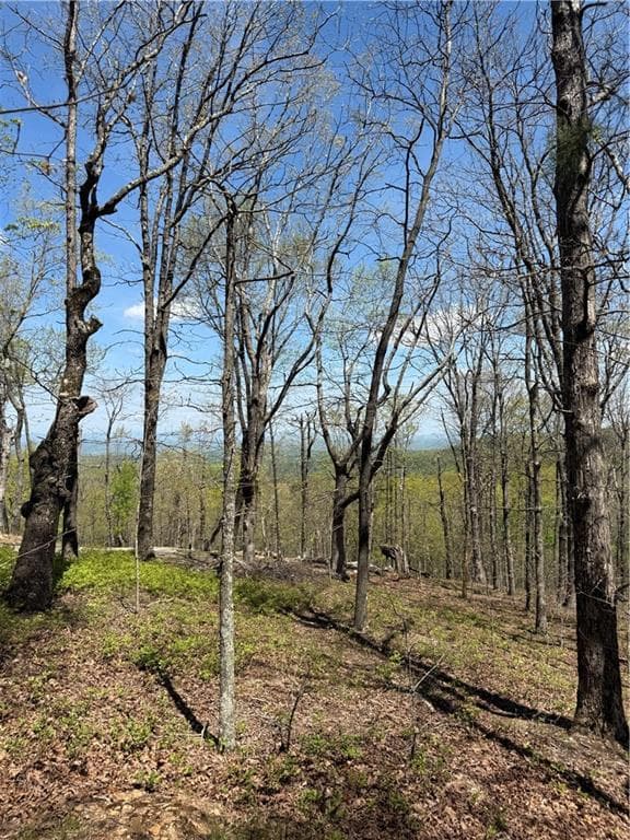 unimproved land for sale at 161 Sharp Mountain Parkway, Jasper, GA 30143 — photo 4