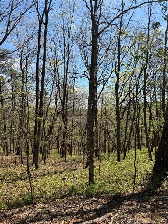 unimproved land for sale at 161 Sharp Mountain Parkway, Jasper, GA 30143 — photo 8