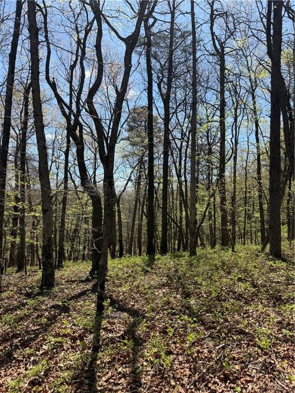 unimproved land for sale at 161 Sharp Mountain Parkway, Jasper, GA 30143 — photo 9