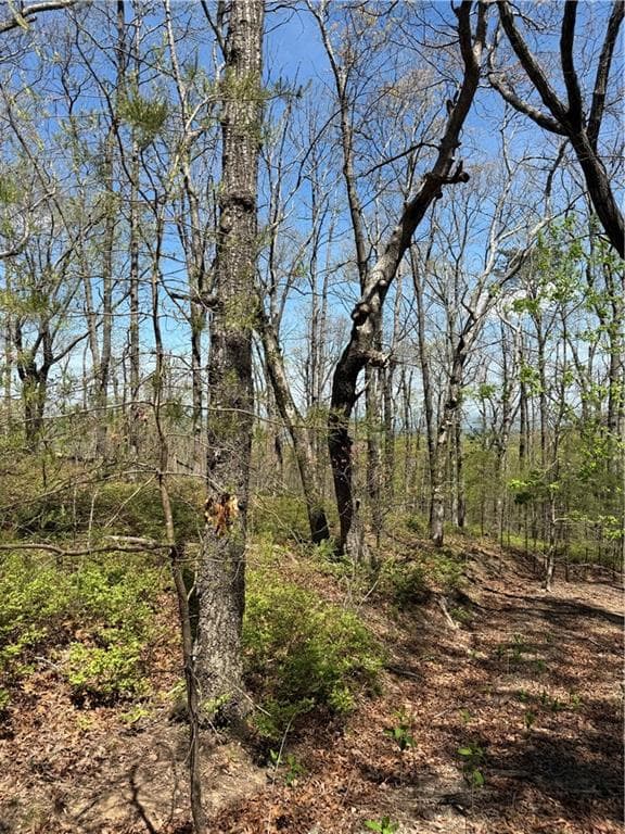 unimproved land for sale at 161 Sharp Mountain Parkway, Jasper, GA 30143 — photo 10