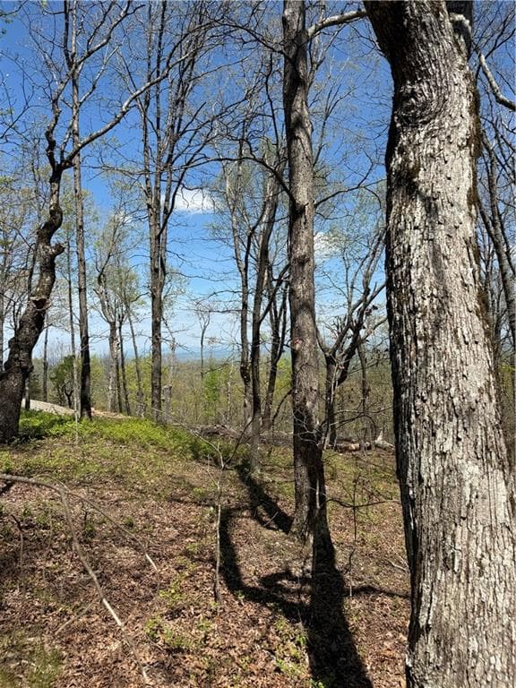 unimproved land for sale at 161 Sharp Mountain Parkway, Jasper, GA 30143 — photo 3