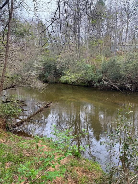 single family residence for sale at 0 Holly Drive, Blairsville, GA 30512 — photo 4