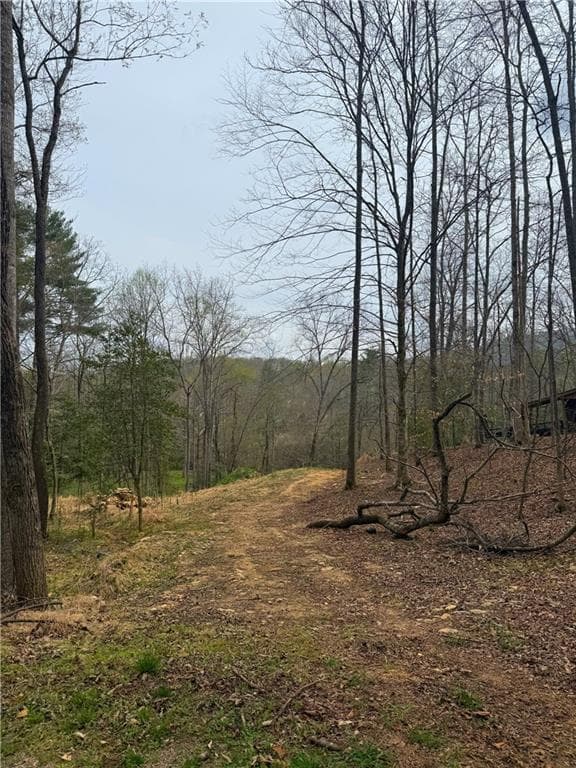 single family residence for sale at 0 Holly Drive, Blairsville, GA 30512 — photo 5