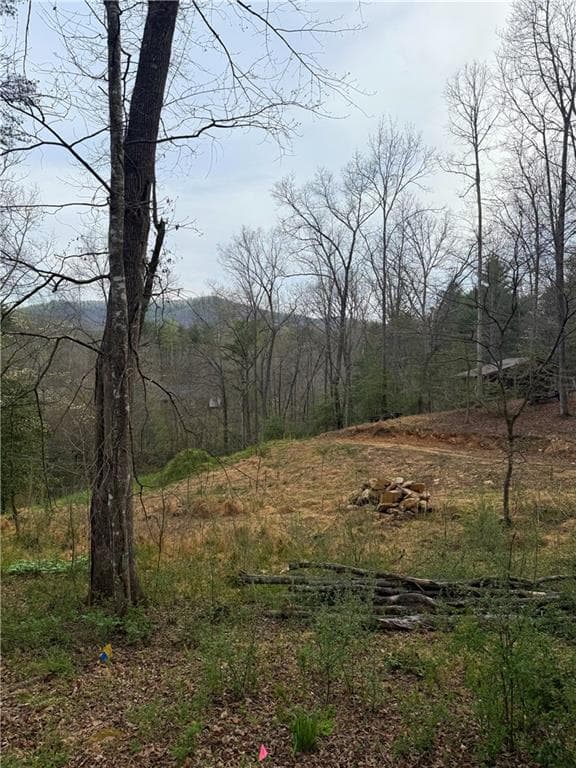 single family residence for sale at 0 Holly Drive, Blairsville, GA 30512 — photo 1 of 12