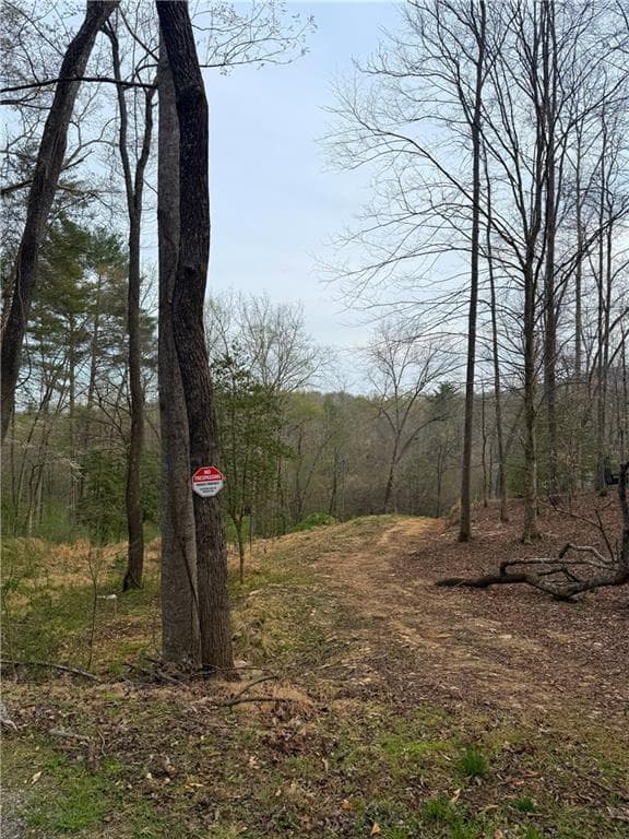 single family residence for sale at 0 Holly Drive, Blairsville, GA 30512 — photo 8