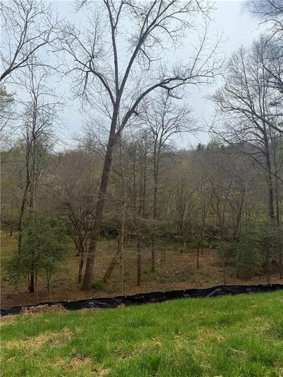 single family residence for sale at 0 Holly Drive, Blairsville, GA 30512 — photo 3