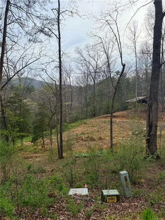 single family residence for sale at 0 Holly Drive, Blairsville, GA 30512 — photo 10