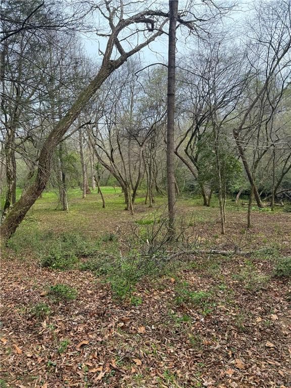 single family residence for sale at 0 Holly Drive, Blairsville, GA 30512 — photo 9