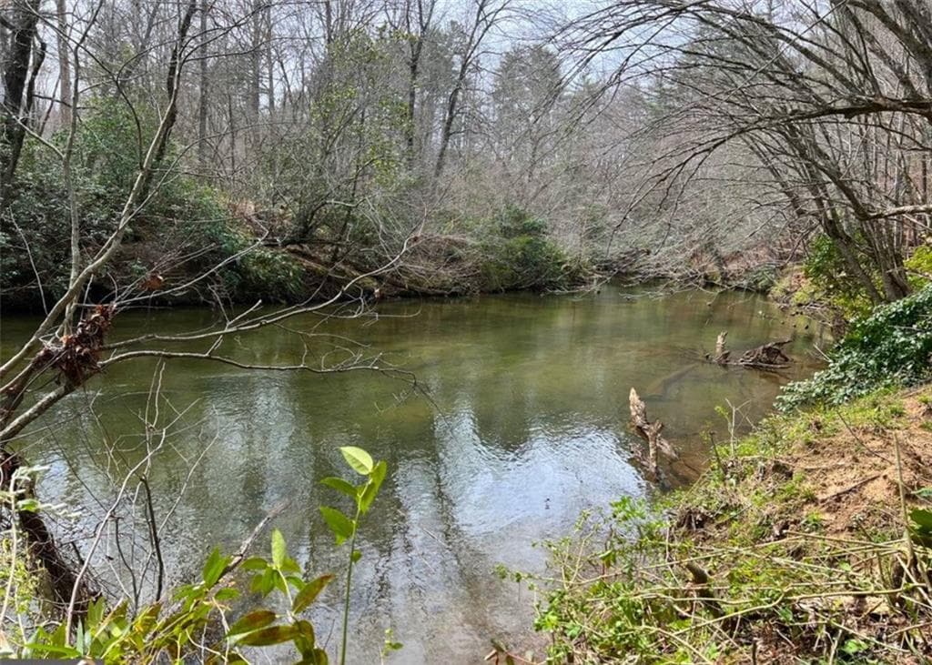 single family residence for sale at 0 Holly Drive, Blairsville, GA 30512 — photo 2