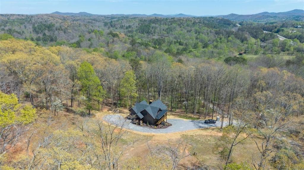 3 bedroom, 3 bathroom, 2,500 sq ft single family residence for sale at 1038 BLUEBIRD Road, Mineral Bluff, GA 30559 — photo 9