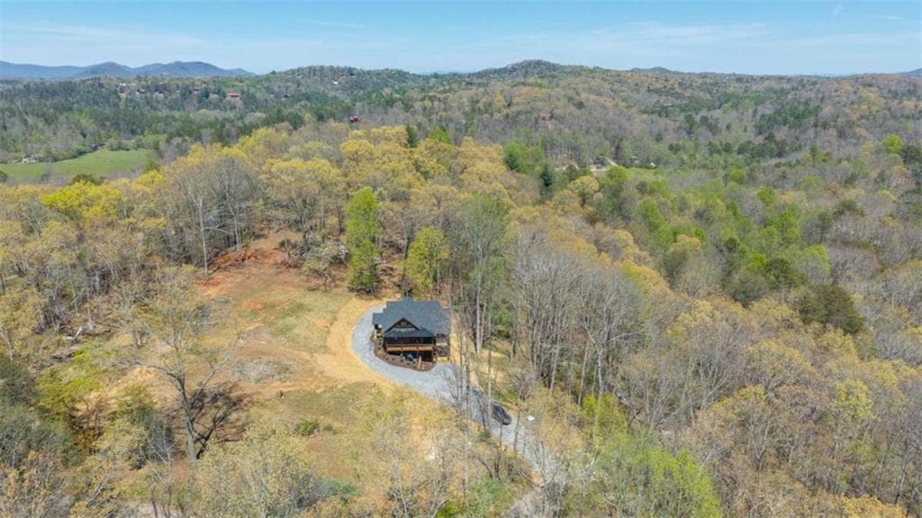 3 bedroom, 3 bathroom, 2,500 sq ft single family residence for sale at 1038 BLUEBIRD Road, Mineral Bluff, GA 30559 — photo 10