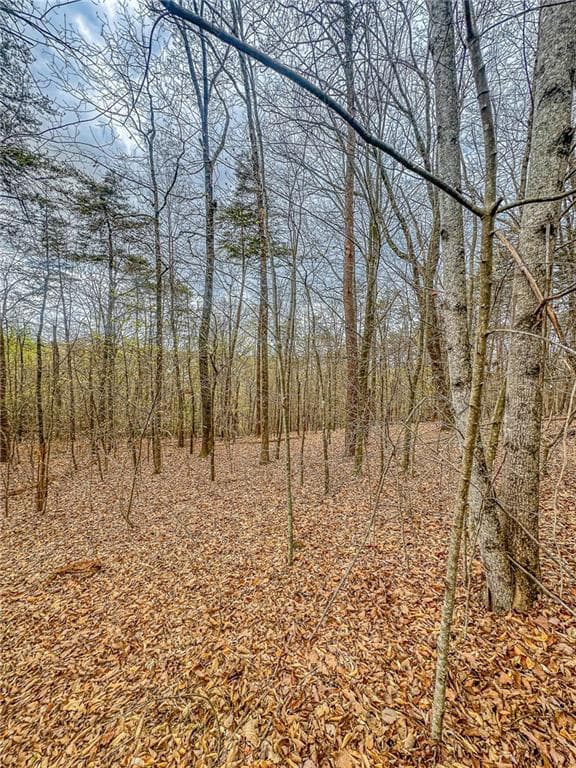 single family residence under contract at 0 Green Meadows, Dahlonega, GA 30533