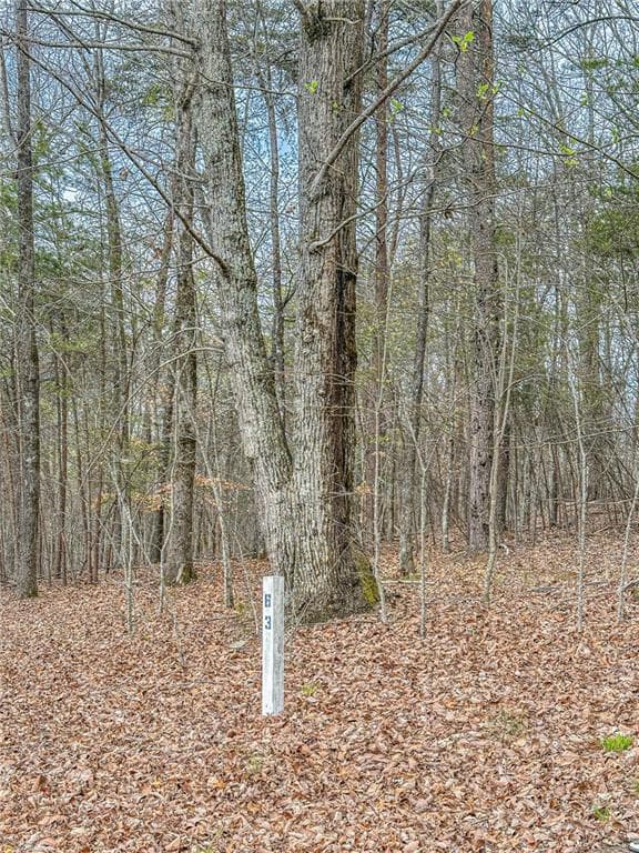 single family residence under contract at 0 Green Meadows, Dahlonega, GA 30533 — photo 2