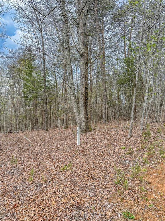 single family residence under contract at 0 Green Meadows, Dahlonega, GA 30533 — photo 3