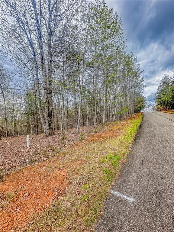 single family residence under contract at 0 Green Meadows, Dahlonega, GA 30533 — photo 4