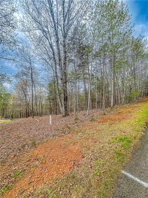 single family residence under contract at 0 Green Meadows, Dahlonega, GA 30533 — photo 5