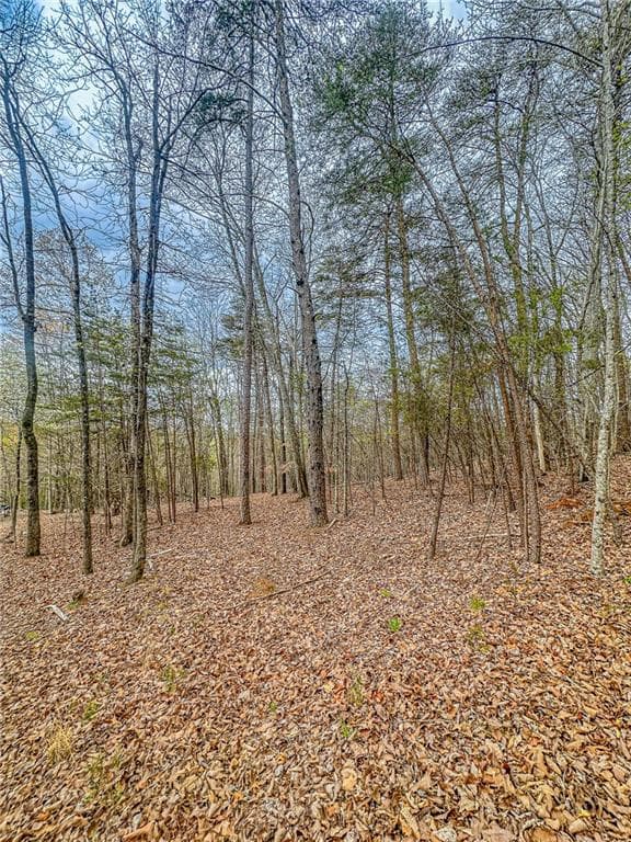 single family residence under contract at 0 Green Meadows, Dahlonega, GA 30533 — photo 6