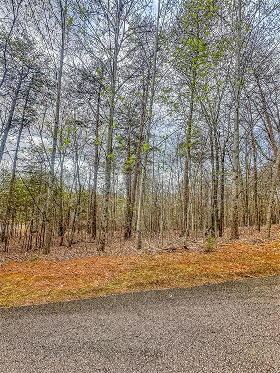 single family residence under contract at 0 Green Meadows, Dahlonega, GA 30533 — photo 7