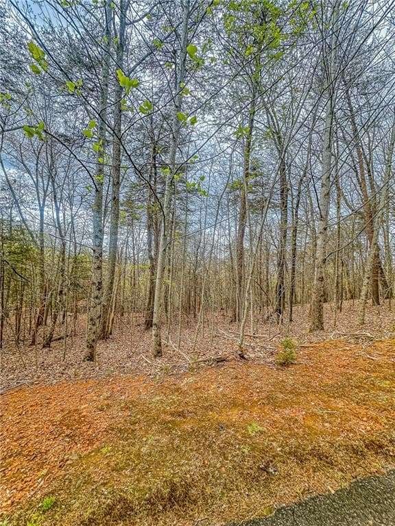 single family residence under contract at 0 Green Meadows, Dahlonega, GA 30533 — photo 8
