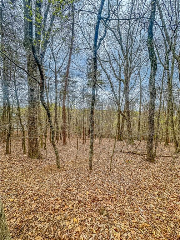 single family residence under contract at 0 Green Meadows, Dahlonega, GA 30533 — photo 9