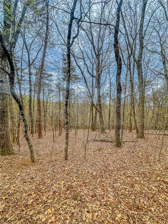 single family residence under contract at 0 Green Meadows, Dahlonega, GA 30533 — photo 10