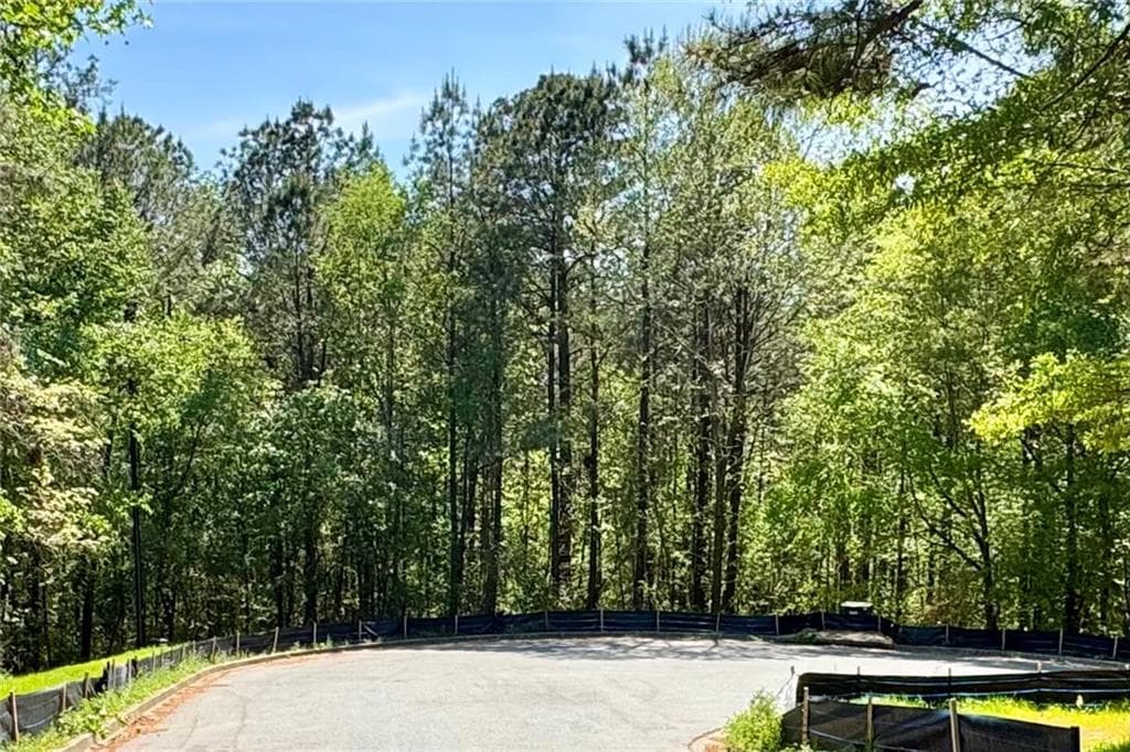 single family residence for sale at 145 Constitution Pointe, Dallas, GA 30132 — photo 1 of 12